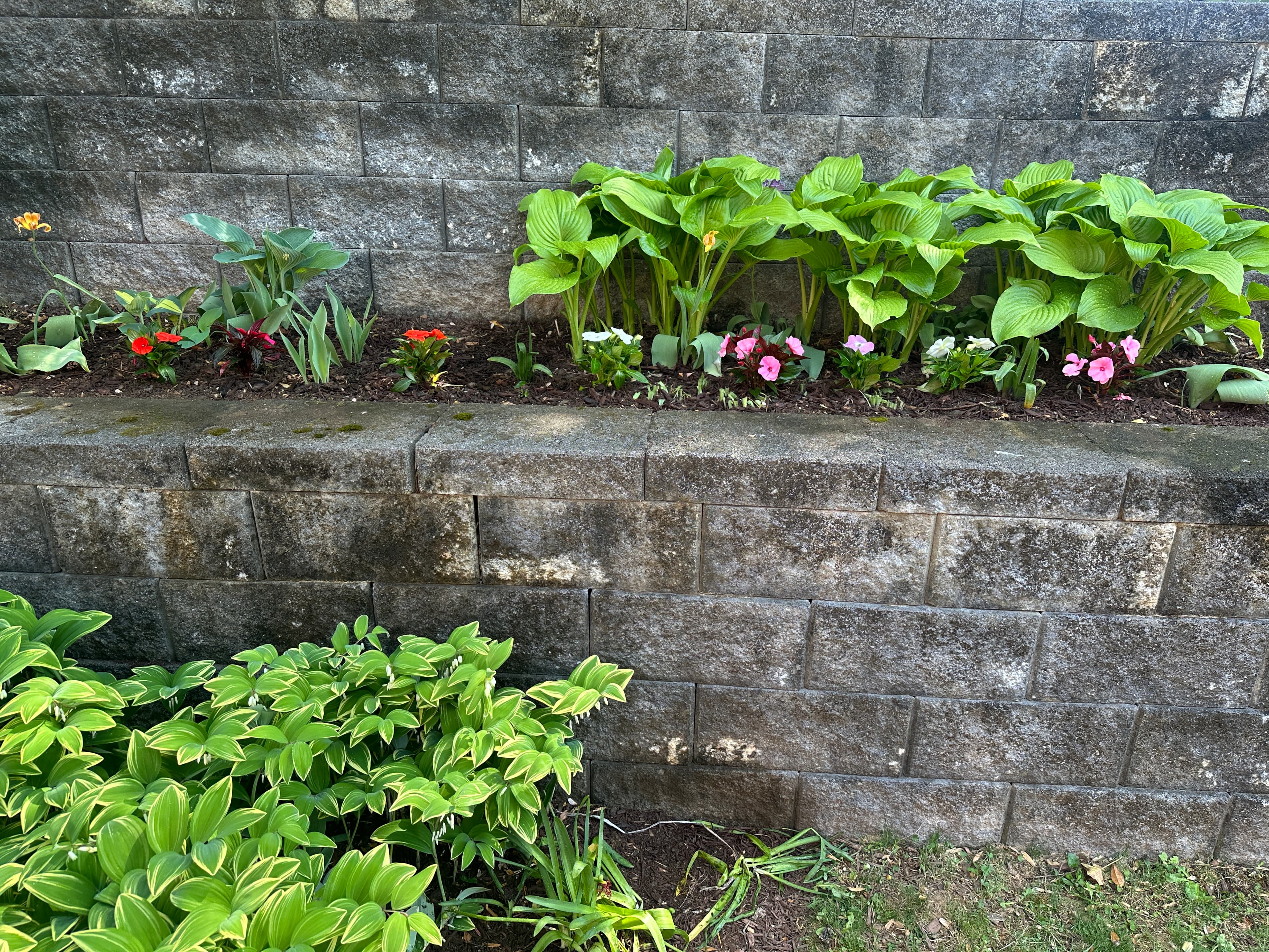 Green hostas and colorful flowers grow in a tiered grey stone block garden wall.